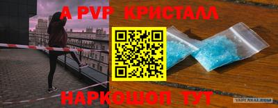 твердый Пугачёв
