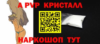 твердый Пугачёв