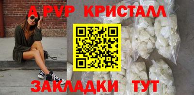 твердый Пугачёв