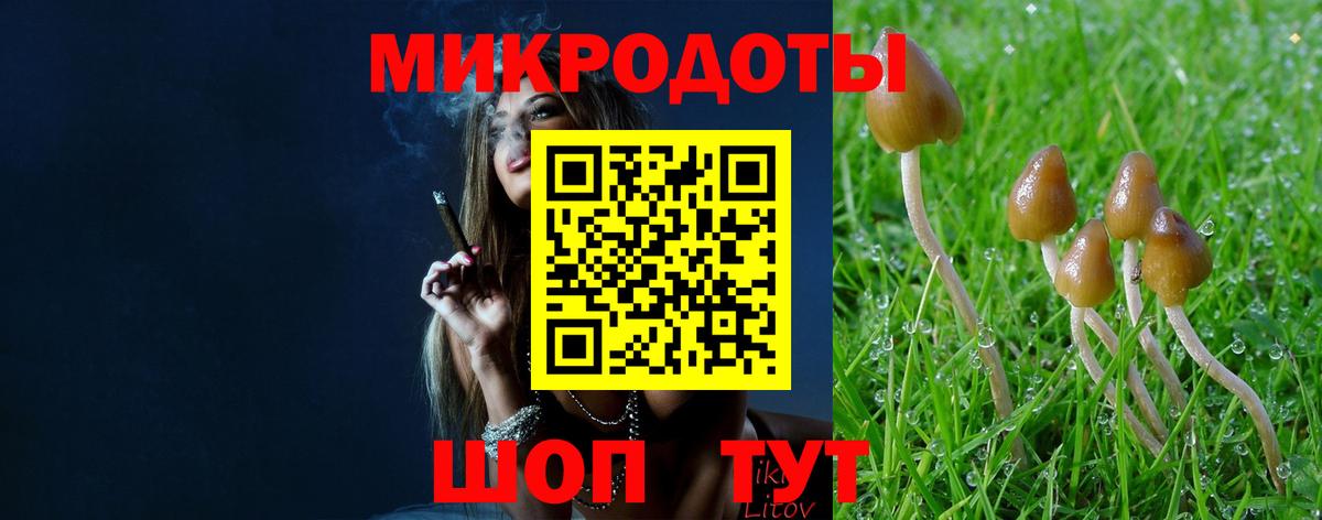 Псилоцибиновые грибы мухоморы Псков